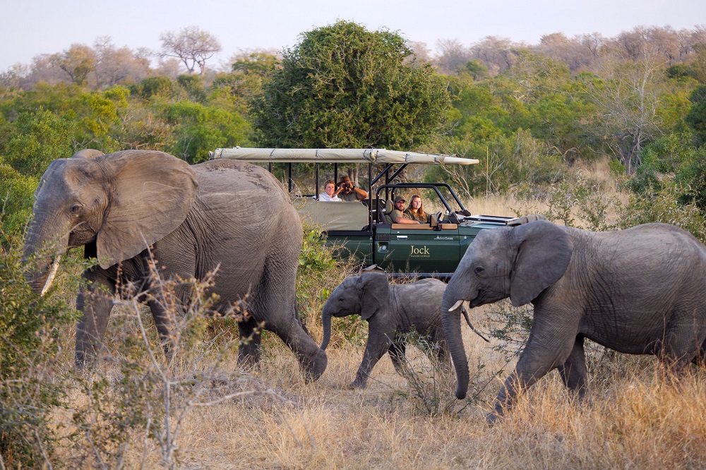 Jock Safari Lodge re-opens Fitzpatrick’s family camp in the Kruger National Park with promotional rate for SA residents