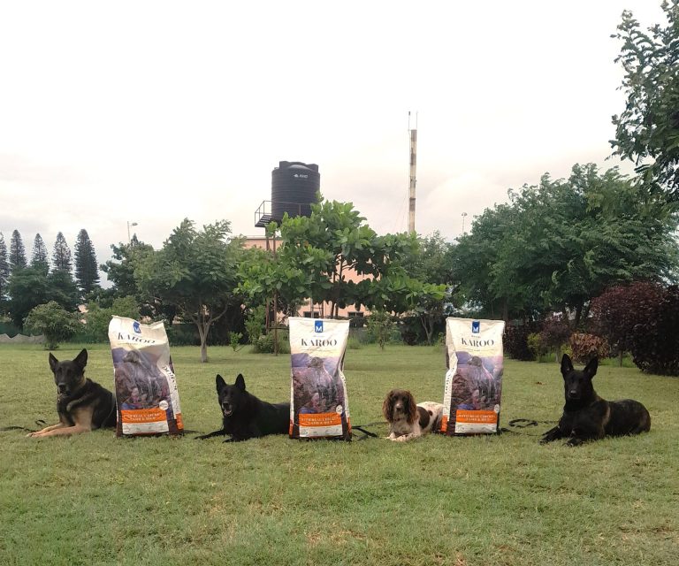 Montego Pet Nutrition proud sponsor of canine heroes protecting Africa’s wildlife