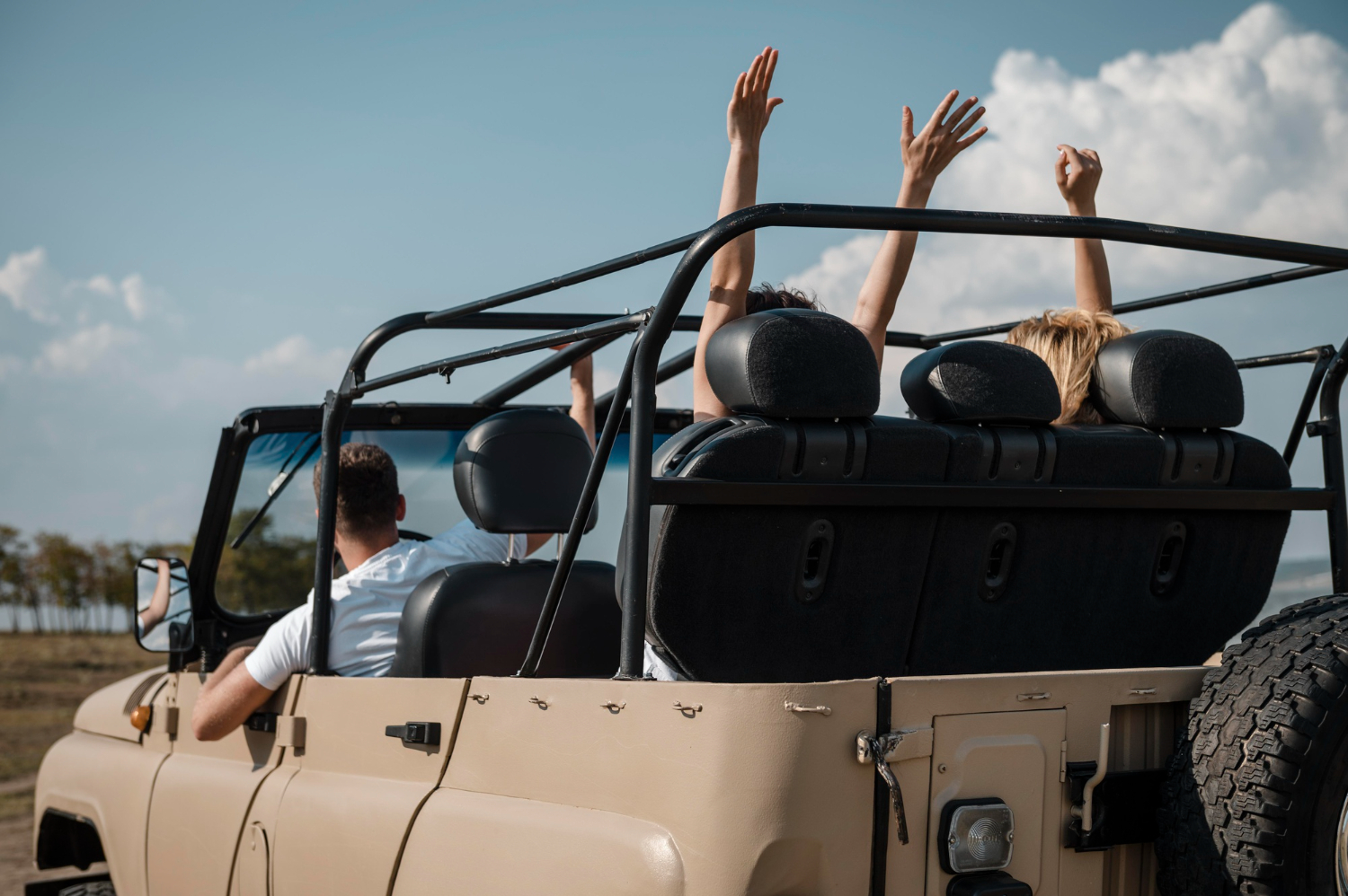 friends having fun together traveling by car
