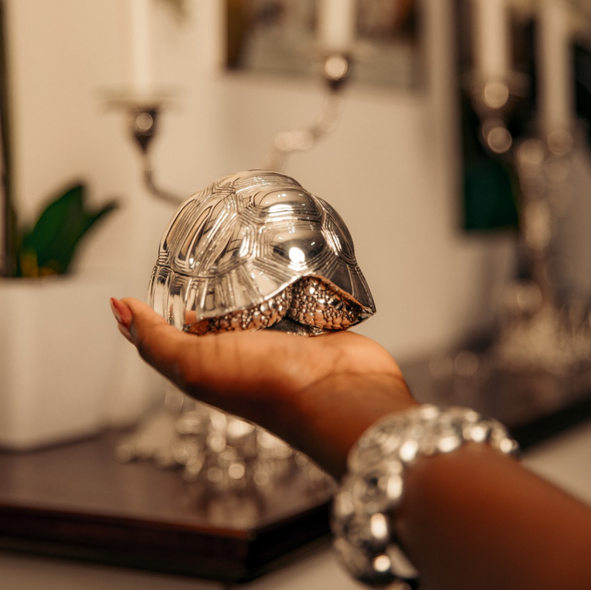 A handcrafted turtle made by Patrick Mavros